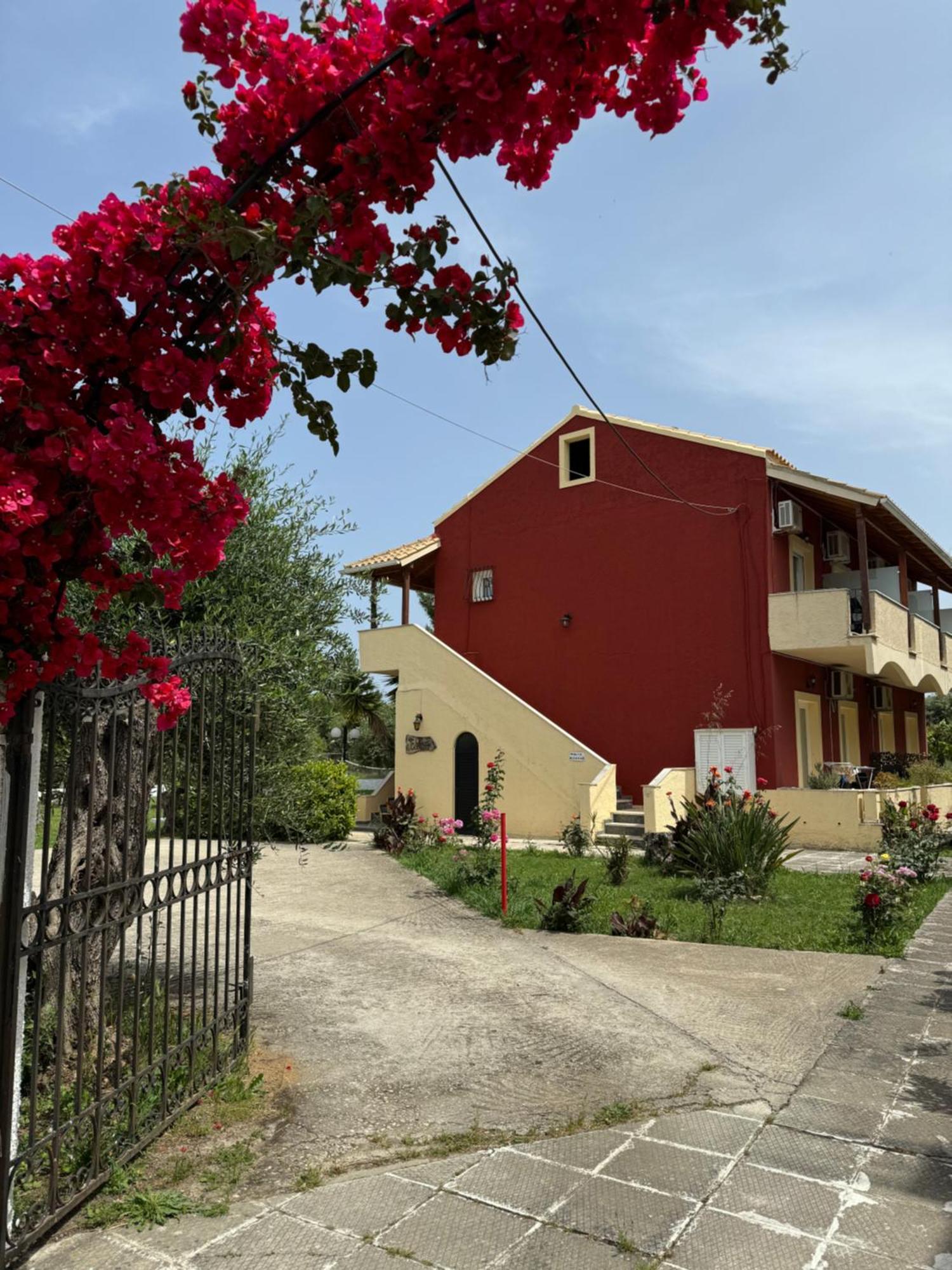 Olive Garden Studios & Apartments Acharavi  Exterior foto